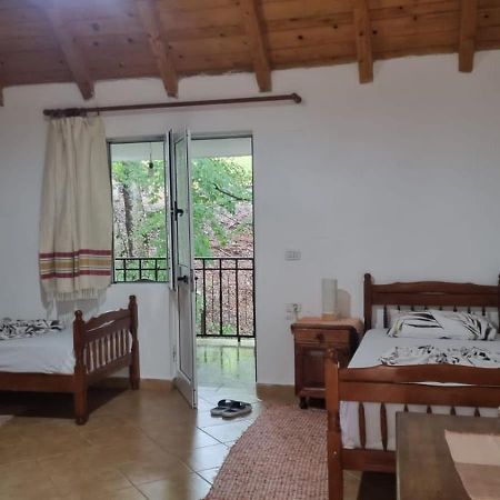Hotel Bujtina Te Grima Theth Exteriér fotografie