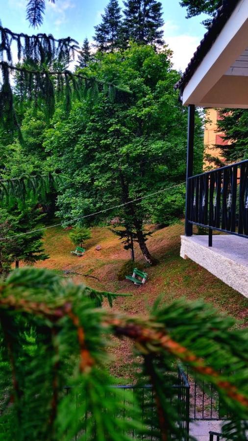 Hotel Bujtina Te Grima Theth Exteriér fotografie